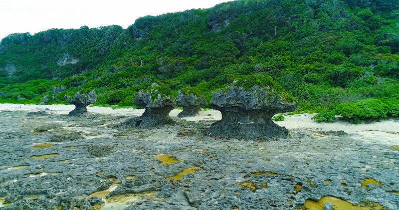 鹿児島の海と岩場の風景